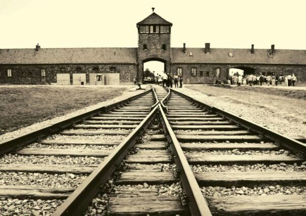 From Warsaw: Auschwitz Day Tour by Private Car With Lunch - Frequently Asked Questions