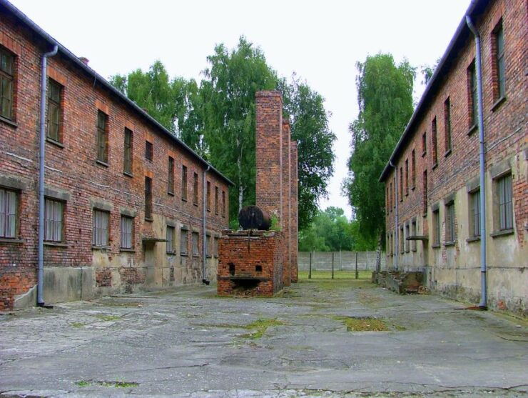 From Warsaw: Full Day Guided Trip to Auschwitz-Birkenau - Experience Offered