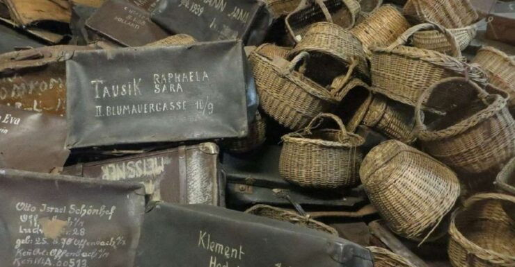 From Warsaw: Shared Guided Tour to Auschwitz-Birkenau - Experience