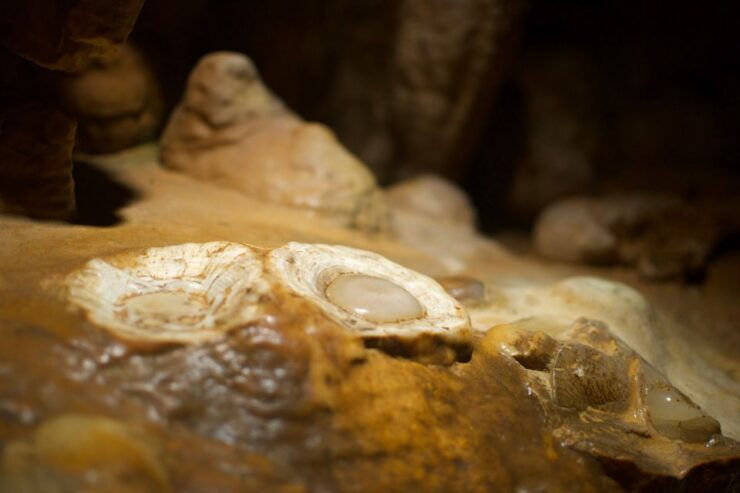 From Washington DC: Day Trip to Luray Caverns - Overview of Luray Caverns