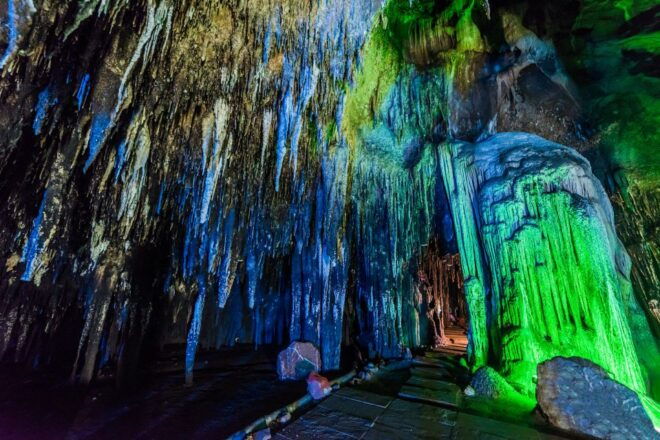 From Washington DC: Day Trip to Luray Caverns - Private Group Options