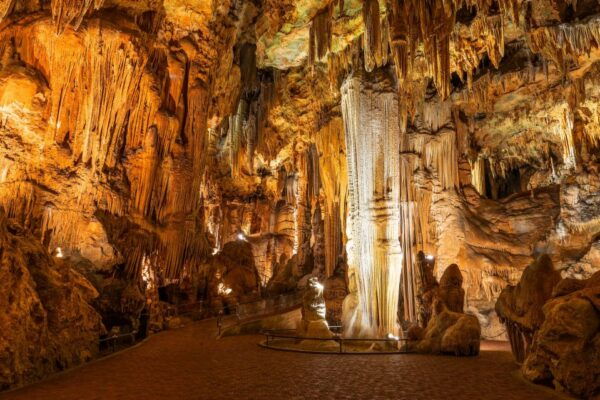 From Washington DC: Day Trip to Luray Caverns - Common Questions
