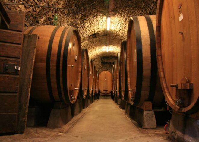 From Washington, DC: Virginia Wine Country Private Day-Trip - Inclusions