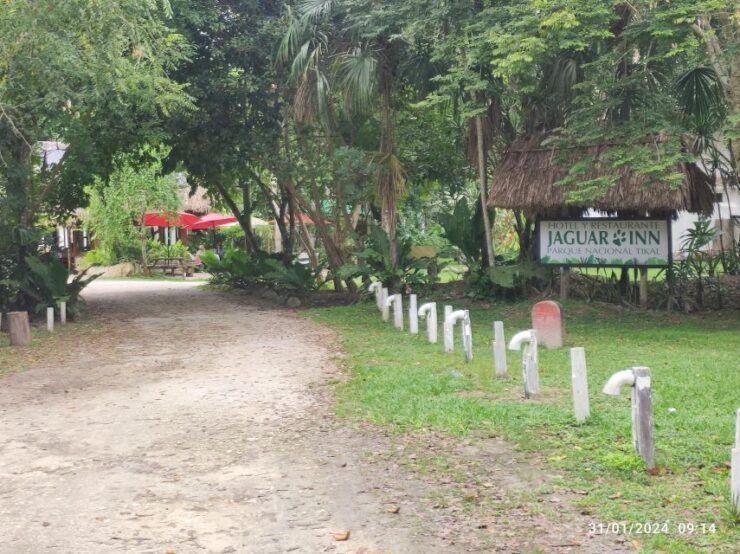 From Water Taxis Belize City to Tikal Guatemala - Booking and Logistics