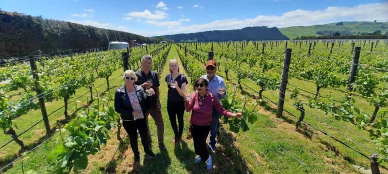 From Wellington: Martinborough Winery Tour - Who Will Love This Tour?
