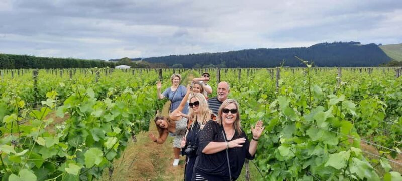 From Wellington: Martinborough Winery Tour - The Sum Up