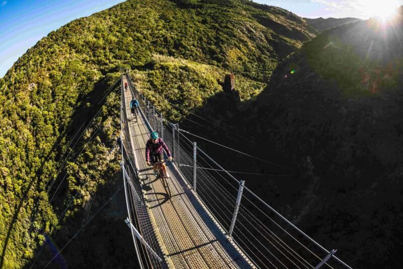 From Wellington: Remutaka Rail Trail eBike Tour - Real Experiences and Authentic Insights