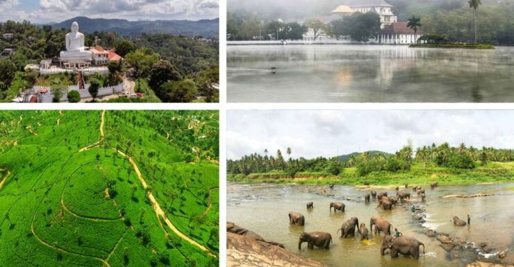 From West Coast: Kandy, Pinnawala, Botanical & Tea Gardens - Activity Details