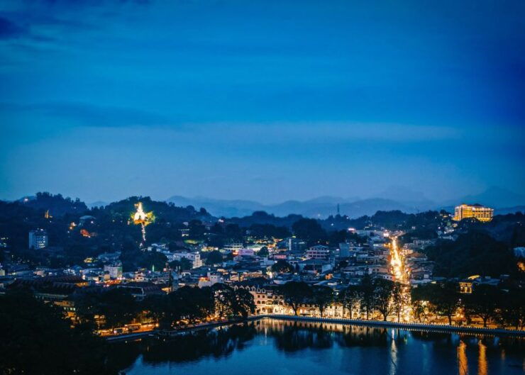From West Coast: Kandy, Pinnawala, Botanical & Tea Gardens - Experience Highlights