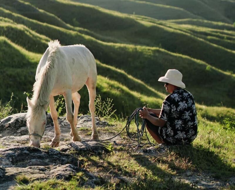 From West Sumba to East: Nature, Culture, & Iconic 4D3N Tour - In-Depth Look at Key Stops