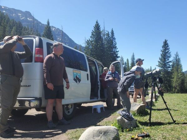 From West Yellowstone: Lamar Valley Wildlife Tour by Van - Product Details