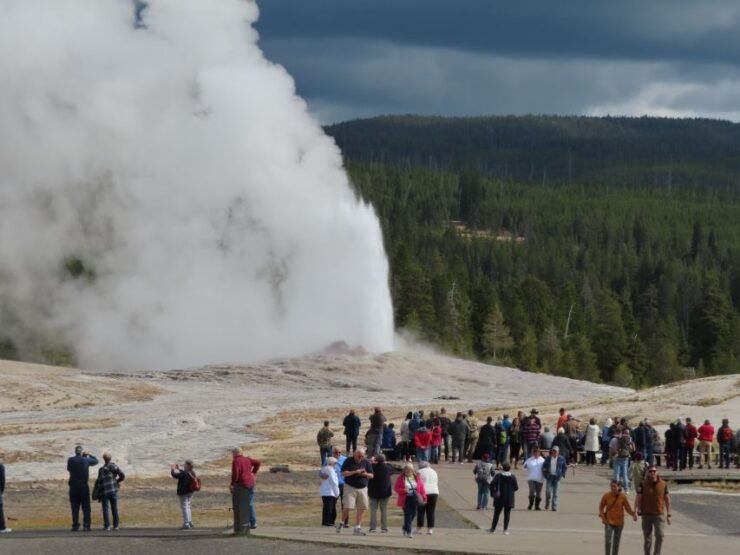 From West Yellowstone: Lower Loop Active Van Tour - Activity Details