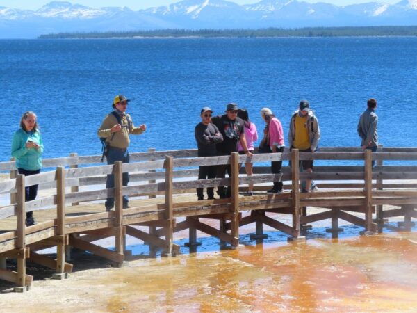 From West Yellowstone: Lower Loop Active Van Tour - The Sum Up