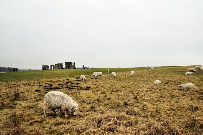 From Weymouth Stonehenge and Salisbury Cathedral - Viator Help Center and Product Code