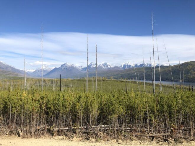 From Whitefish: Glacier National Park & Polebridge Day Tour - Panoramic Views and Photo Opportunity