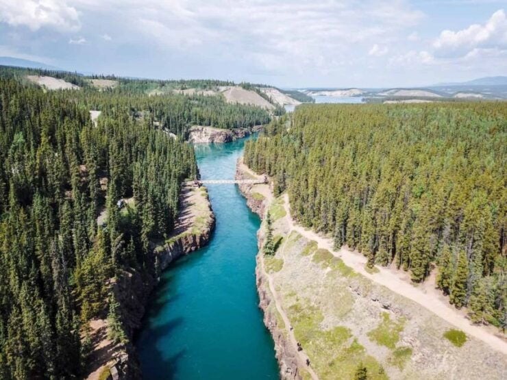 From Whitehorse: Klondike Gold Rush Tour With Lunch - Experience Highlights