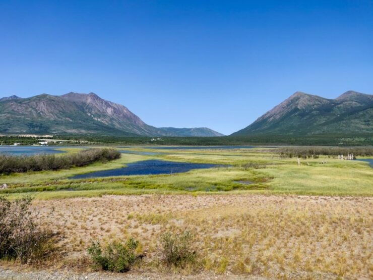 From Whitehorse: Skagway Day-Trip - Experience Highlights