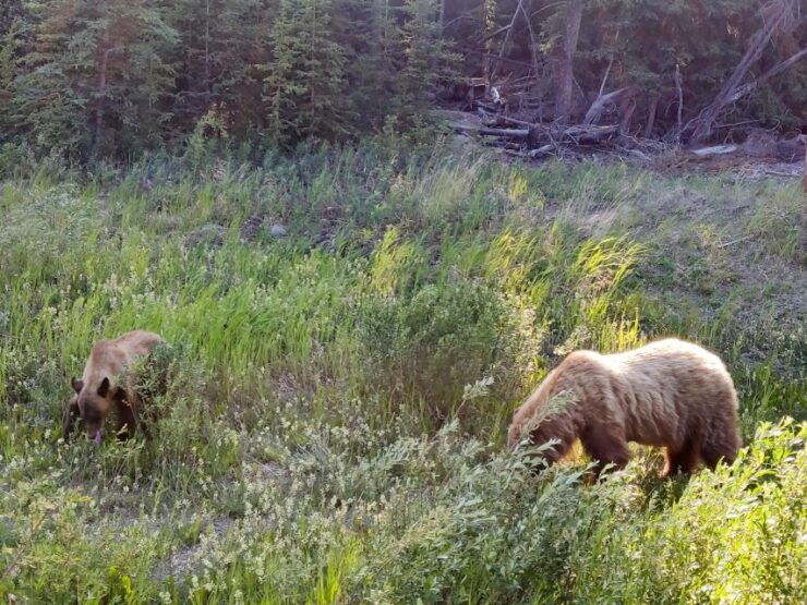 From Whitehorse: Skagway Day-Trip - Full Itinerary Details