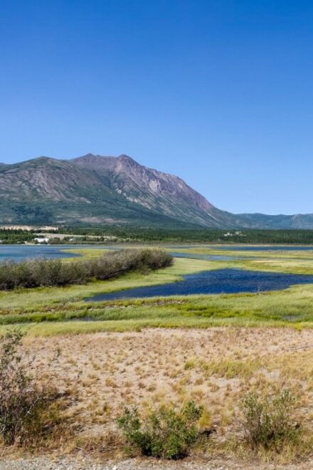 From Whitehorse: Skagway Day-Trip - Transport and Logistics