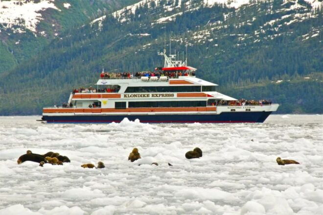 From Whittier/Anchorage: Prince William Sound Glacier Cruise - Meeting Point and Meals