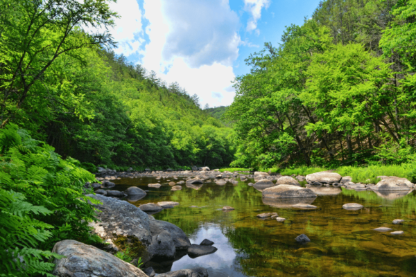 From Wilmington: Scenic Vermont Route 100 Self-Drive Tour - National Historic Landmark