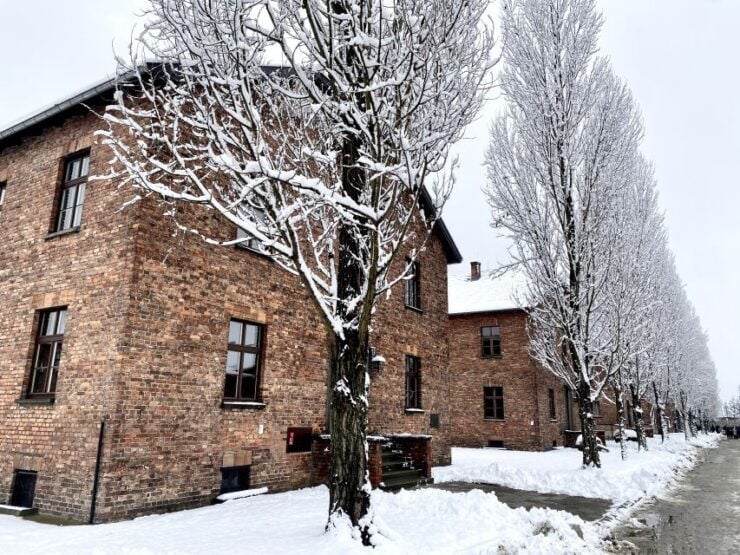 From Wrocław: Full-Day Auschwitz-Birkenau Guided Tour - Historical Significance and Experience