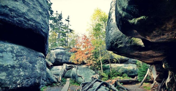 From Wroclaw: Full-Day Stolowe Mountains Trekking Tour - Experience Highlights