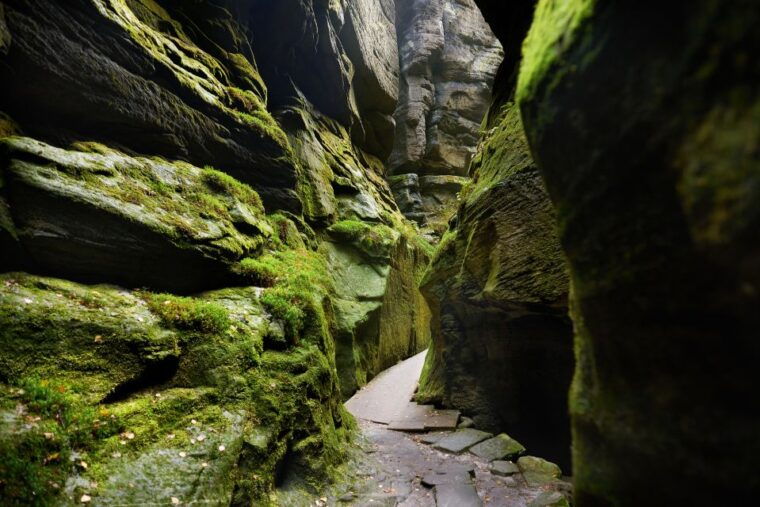 From Wroclaw: Hiking Trail in Rock City Adrspach - The Loop Trail: What to Expect
