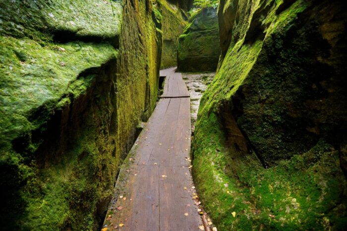 From Wroclaw: Hiking Trail in Rock City Adrspach - Why This Tour Stands Out