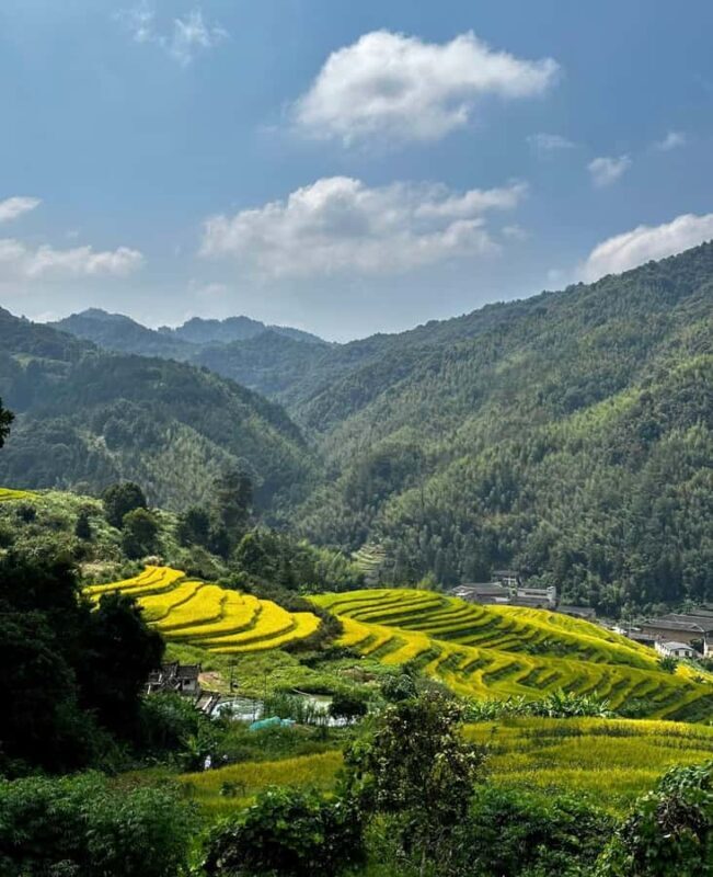 From Xiamen: UNESCO Tulou Site and Village Life in Zhangzhou - Practical Details: What You Need to Know