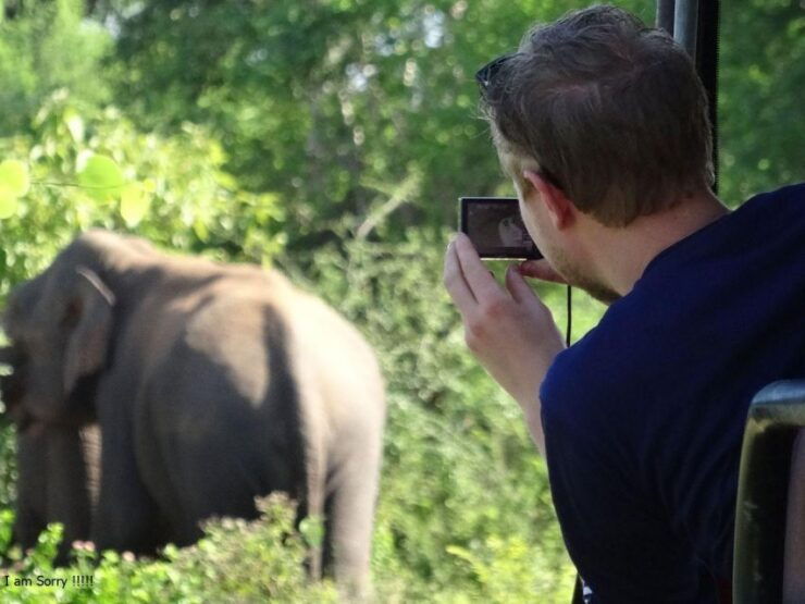 From Yala: Full-Day Private Leopard Safari With Lunch - Activity Details
