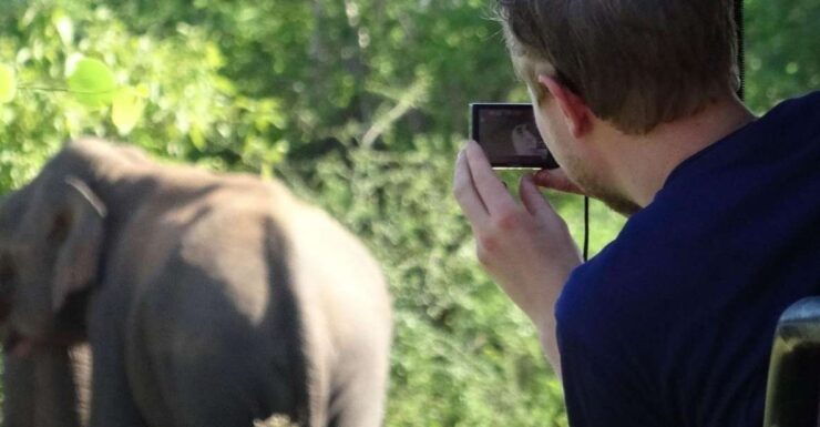 From Yala: Full-Day Private Leopard Safari With Lunch - Safari Experience