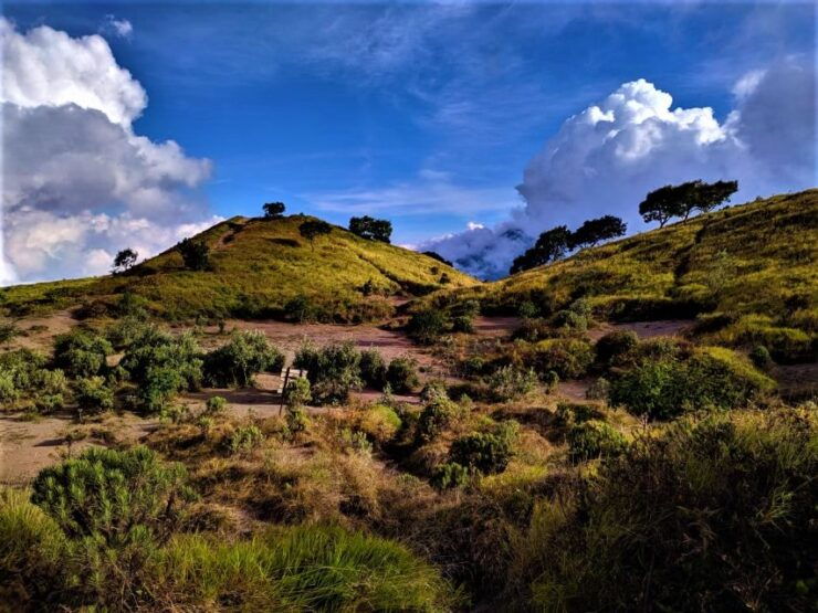 From Yogyakarta: 2-Day, 1-Night Mount Merbabu Camping Trip - Trip Highlights