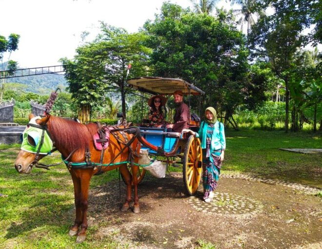 From Yogyakarta: 6-Day Mount Bromo and Ijen Crater Tour - Tour Highlights and Inclusions