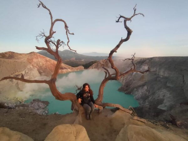 From Yogyakarta: Bromo, Ijen 3D2N With Lodging and All Fees - Transportation Details
