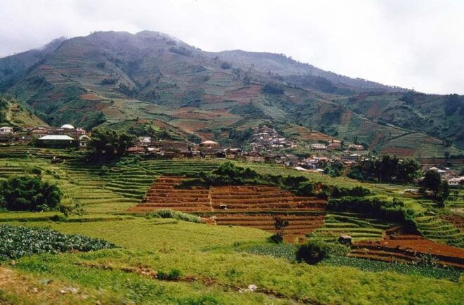 From Yogyakarta : Dieng Plateau Full Day Tour - Key Highlights of Dieng Plateau