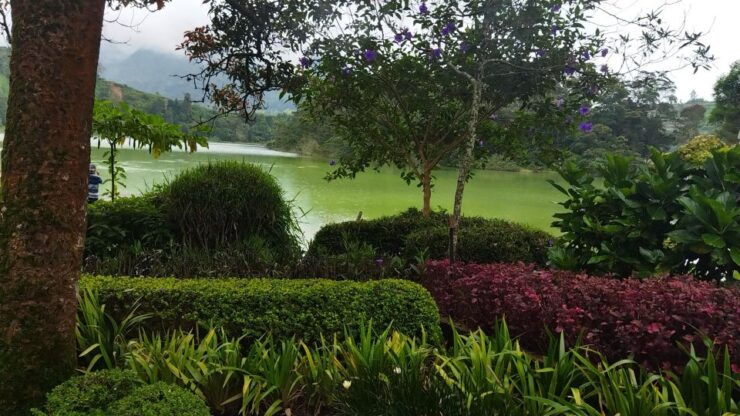 From Yogyakarta: Dieng Plateau Golden Sunrise With Guide - Activity Details