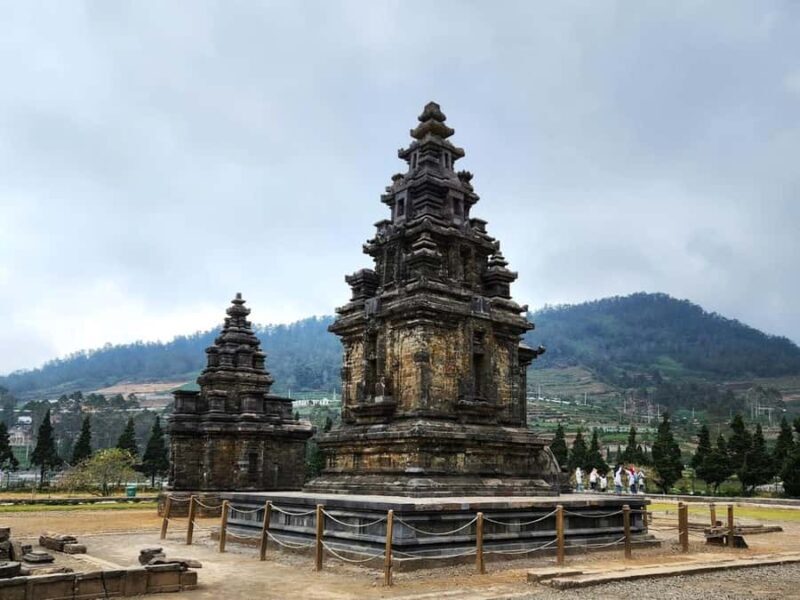 From Yogyakarta: Dieng Tour, Golden Sunrise & Tea Plantation - Who Would Love This Tour?