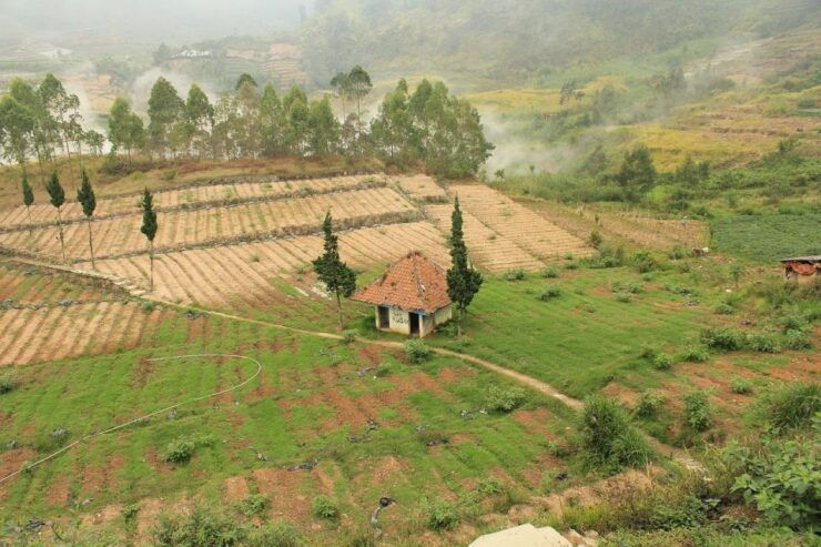 From Yogyakarta: Golden Sunrise Dieng Plateau Trip Full Day - Tour Overview