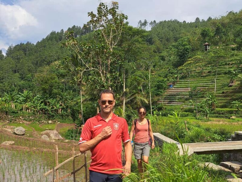 From Yogyakarta: Hidden Waterfall & Selogriyo Rice Terraces - Is This Tour Right for You?