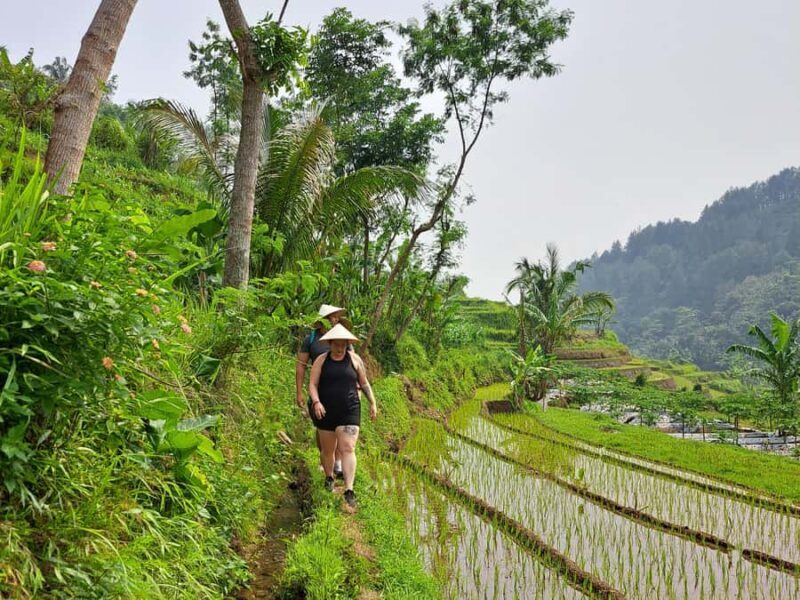 From Yogyakarta: Hidden Waterfall & Selogriyo Rice Terraces - FAQ