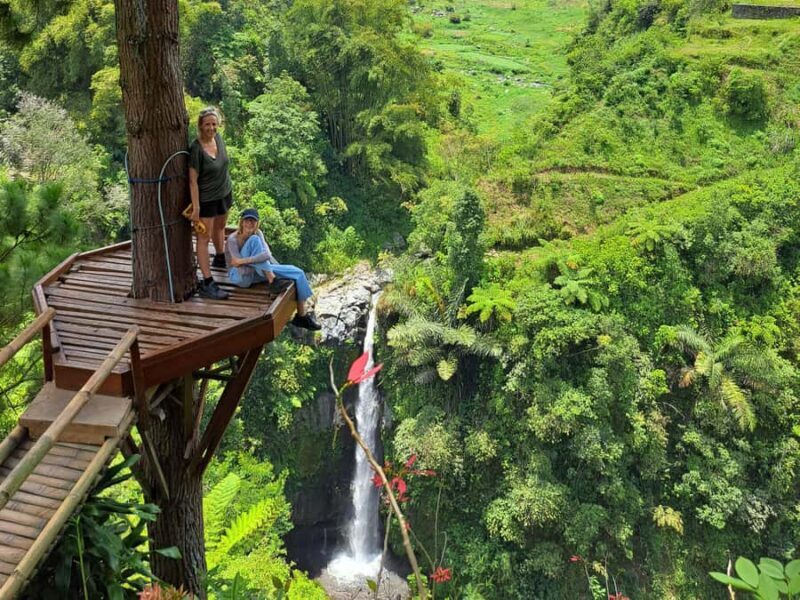From Yogyakarta: Hidden Waterfall & Selogriyo Rice Terraces - Good To Know