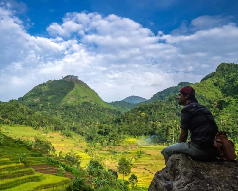 From Yogyakarta: Hidden Waterfall & Selogriyo Rice Terraces - Who Will Enjoy This?