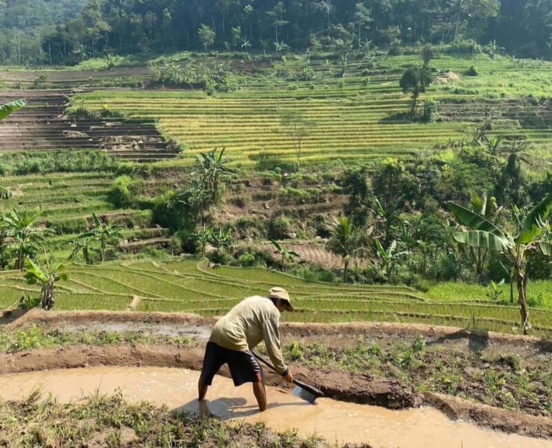 From Yogyakarta: Hidden Waterfall & Selogriyo Rice Terraces - FAQ