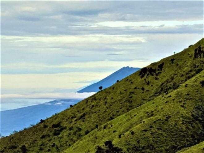 From Yogyakarta : Mount Merbabu Day Hike - Hiking Experience