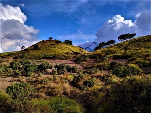 From Yogyakarta : Mount Merbabu Day Hike - Fitness Requirements