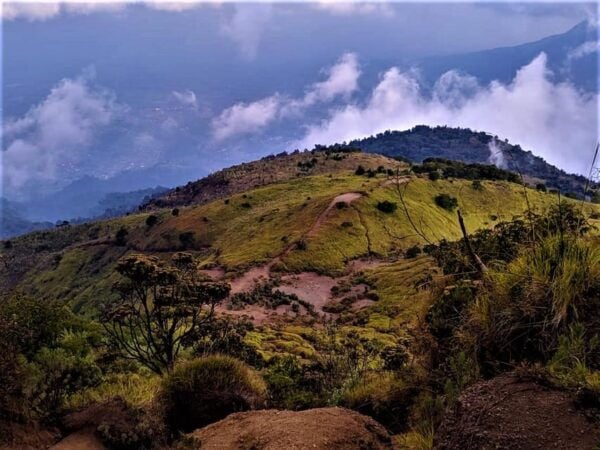 From Yogyakarta : Mount Merbabu Day Hike - Questions You May Have