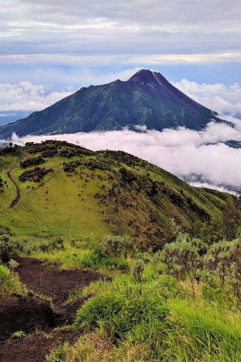 From Yogyakarta: Mount Merbabu One Day Hiking Tour - Itinerary and Experience
