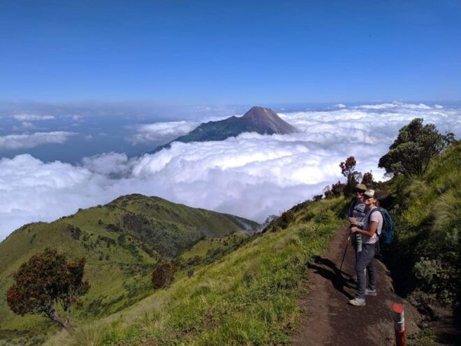 From Yogyakarta: Mount Merbabu One Day Hiking Tour - Important Information