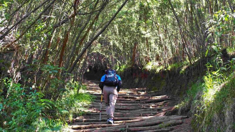 From Yogyakarta: Mount Sumbing Day Hike Via Nepal Van Java - Transportation and Logistics